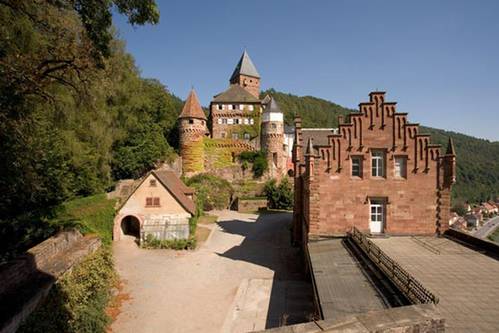 Blick auf Schloss Zwingenberg