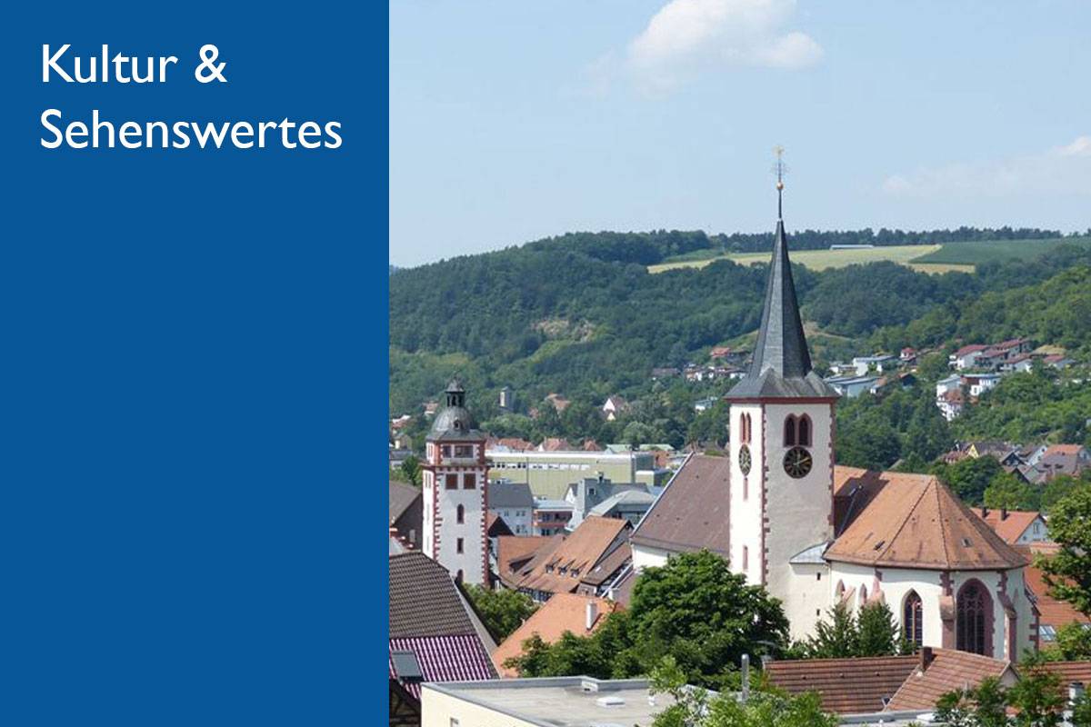 Blick auf Mosbach