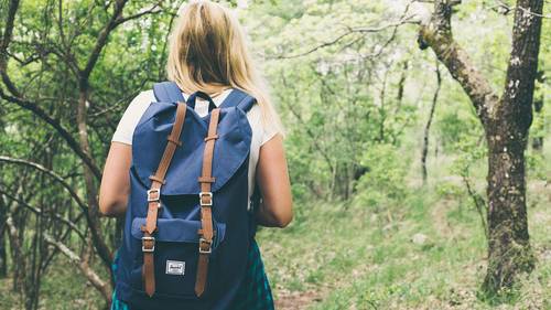 Ansicht von einer Wanderin im Wald
