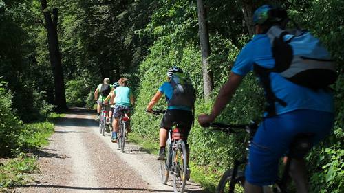 Gruppe am Fahrradfahren im Wald