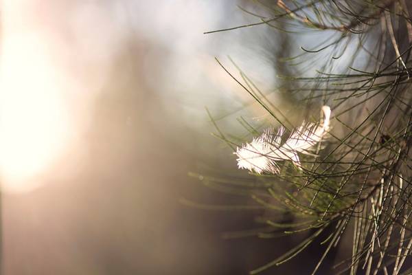 Quelle: Pixabay.com